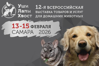 Уши. Лапы. Хвост