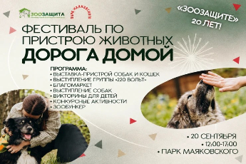 20 лет фонду ЗООзащита