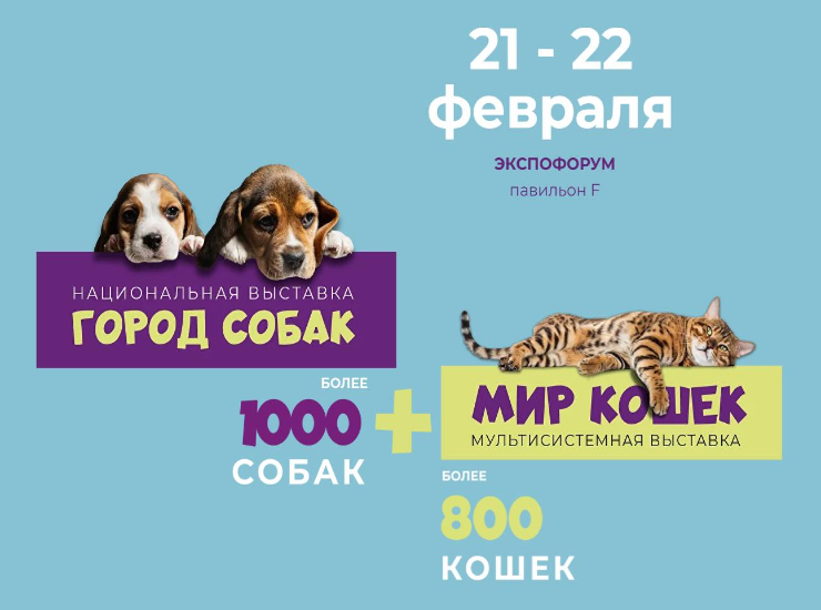 Город собак + Мир кошек