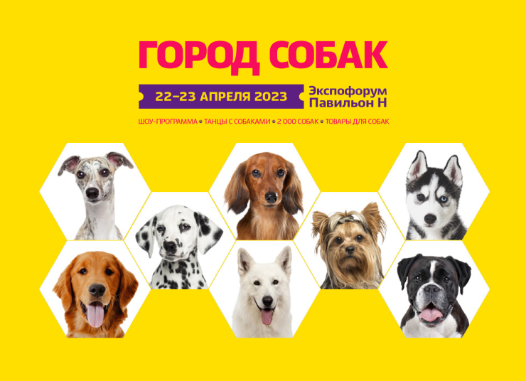 Город собак 2023 Город собак 2023
