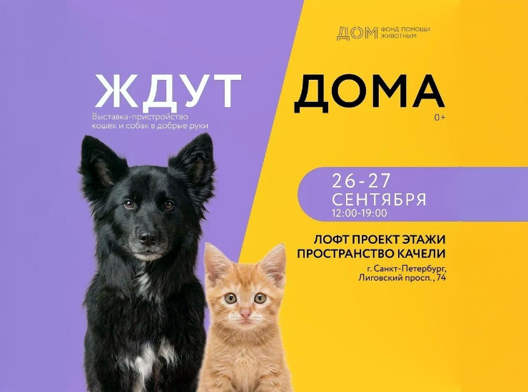 «Ждут ДОМа»