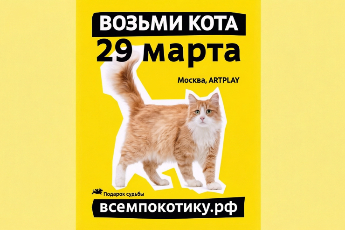 #Всемпокотику