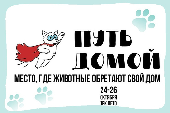 «Путь домой» «Путь домой»