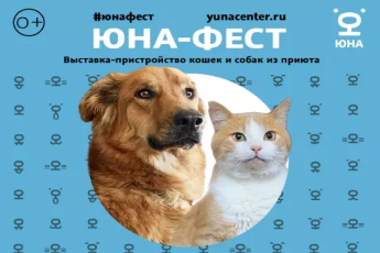 «Юна-Фест»