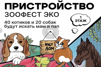 ЗООФЕСТ ЭКО