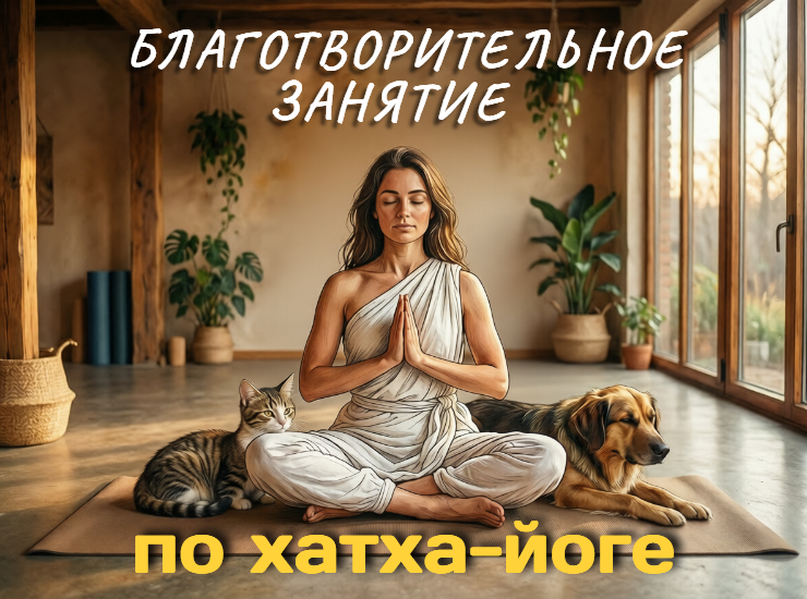 Благотворительное занятие по хатха-йоге 