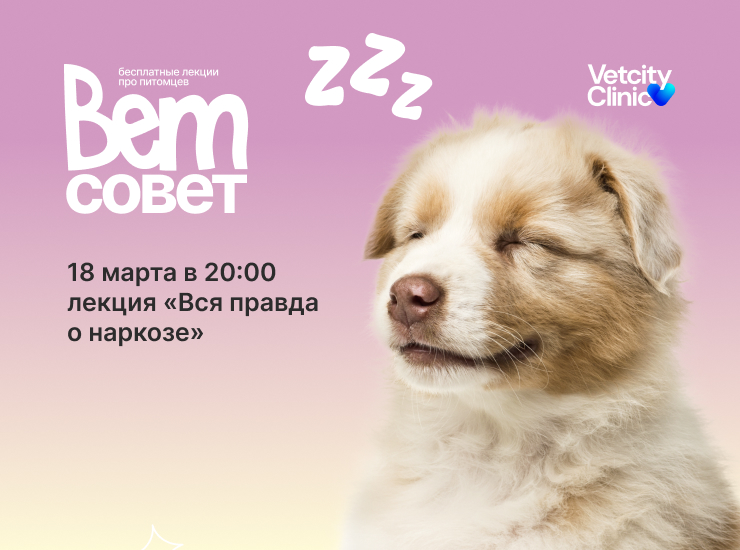 «Вся правда о наркозе»