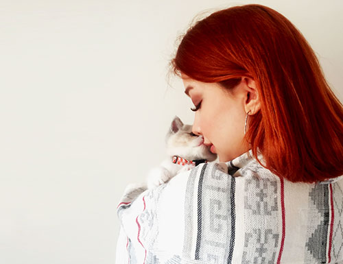 Познавательный сериал для владельцев котят