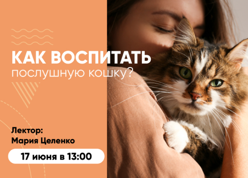 Вебинар «Как воспитать послушную кошку»