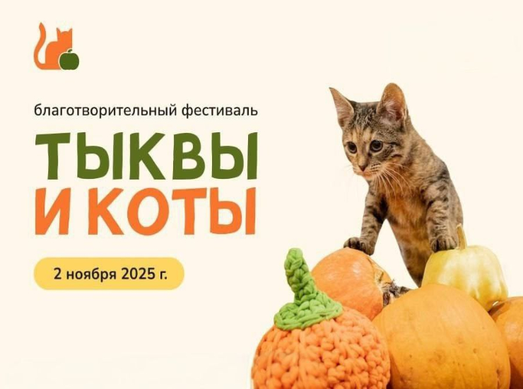 Фестиваль «Тыквы и Коты» 