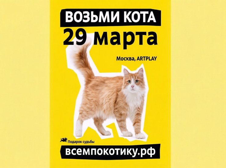 #Всемпокотику