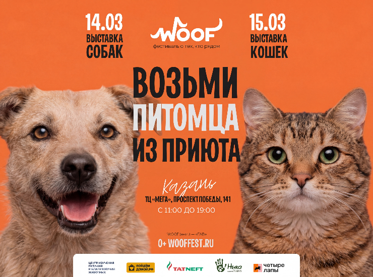 Woof Fest Казань