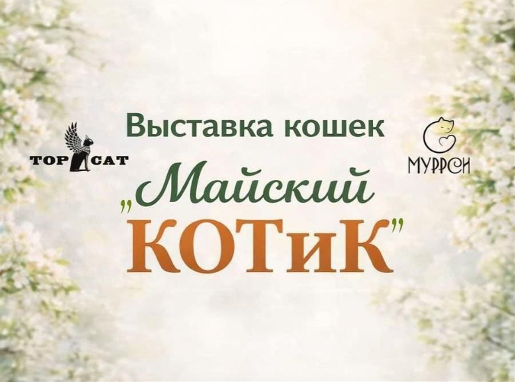 «Майский КОТиК»