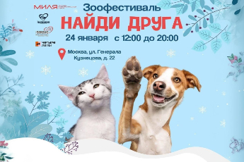 «Найди друга»