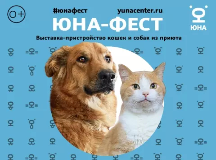 «Юна-Фест»