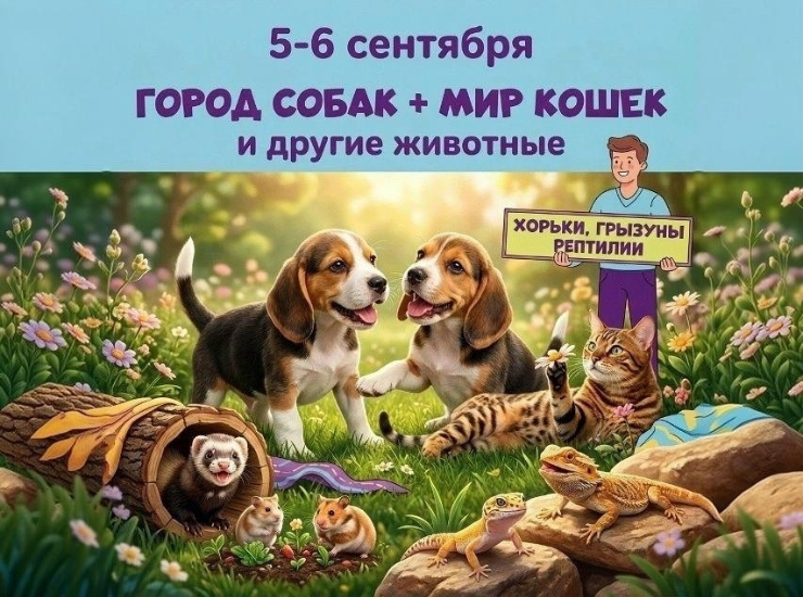 «Город собак» и «Мир кошек»
