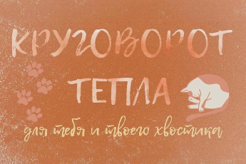 «Круговорот тепла»