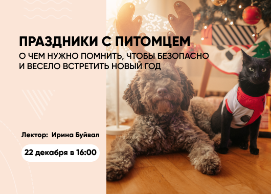 Вебинар «Праздники с питомцем. О чем нужно помнить, чтобы безопасно и весело встретить Новый год»