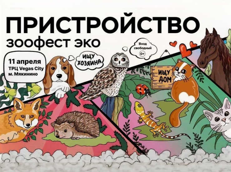 Пристройство ЗООФЕСТ ЭКО