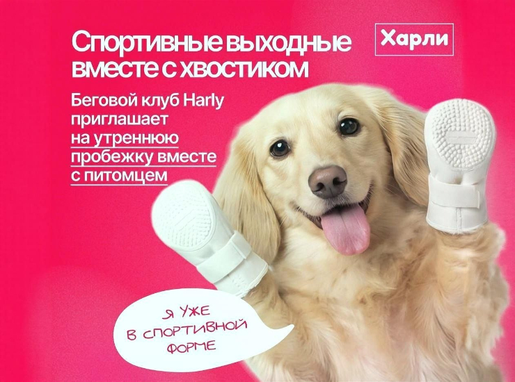 Спортивные выходные вместе с хвостиком