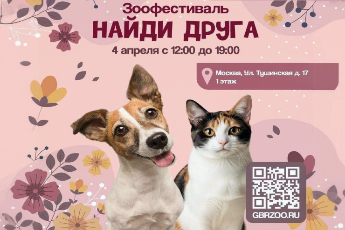 «Найди друга»