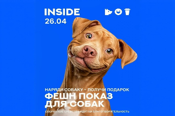 Парад французских бульдогов и показ мод