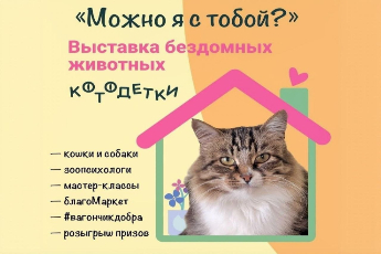 «Можно я с тобой?»