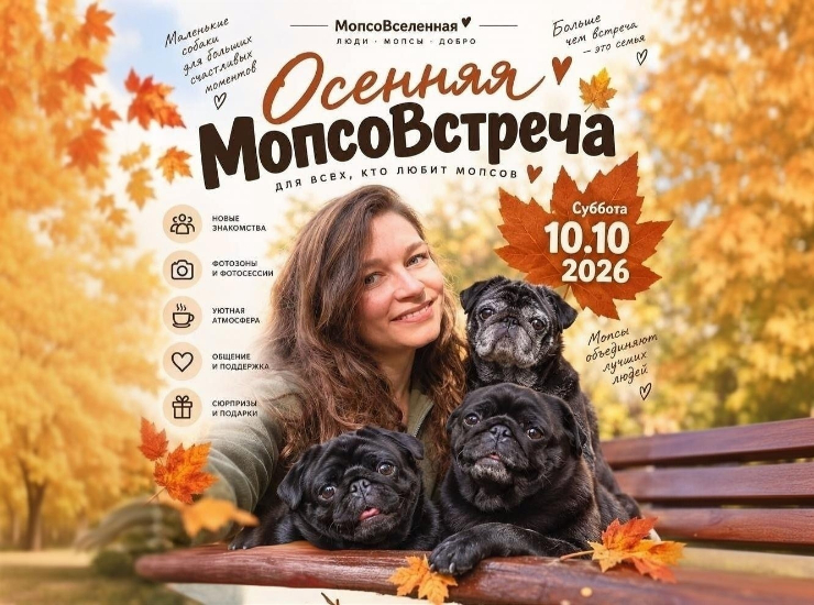 «Мопсовстреча»
