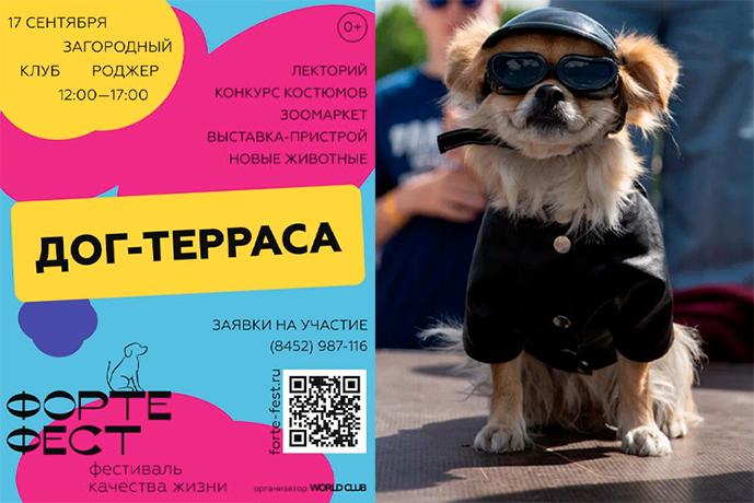 Форте Фест Форте Фест