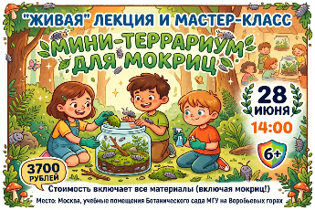 Живая лекция и мастер-класс «Мини-террариум для мокриц»
