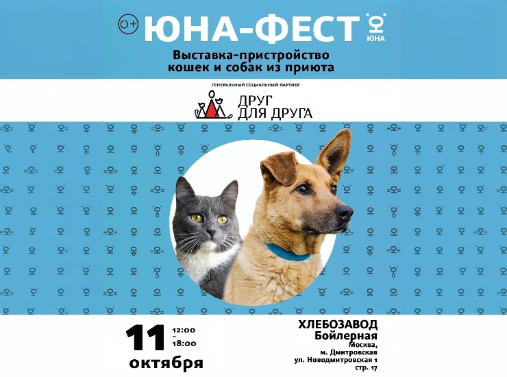 «Юна-Фест»