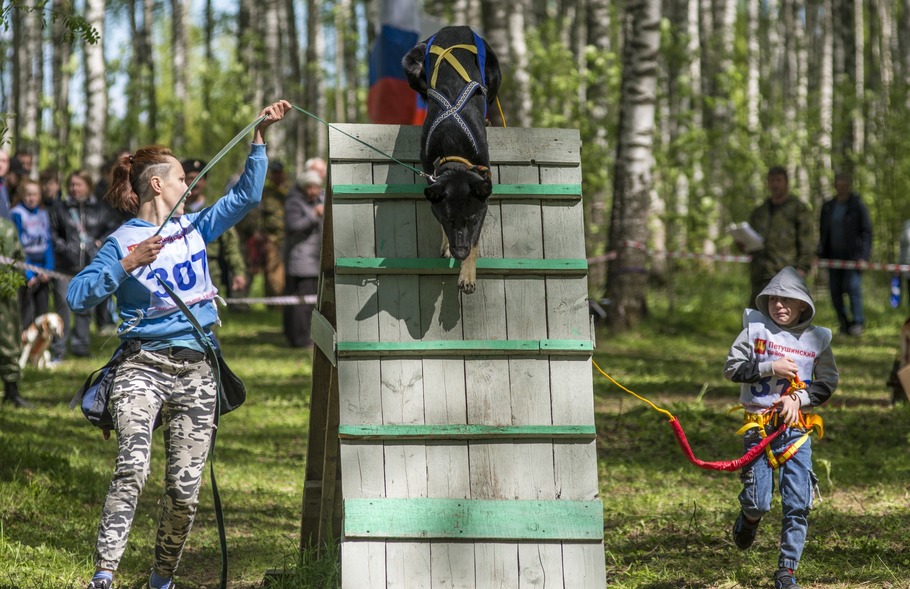 Canine Trophy: драйв, квесты и водные приключения Canine Trophy: драйв, квесты и водные приключения