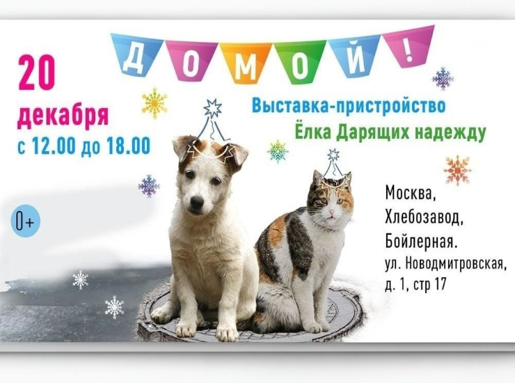 «Елка Дарящих надежду»