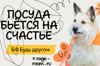 Благотворительная акция «Посуда бьется на счастье»