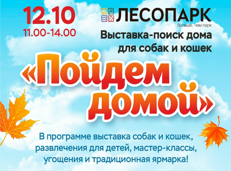 Выставка-пристройство питомцев «Пойдем домой» в Рязани