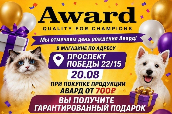 День рождения бренда Award