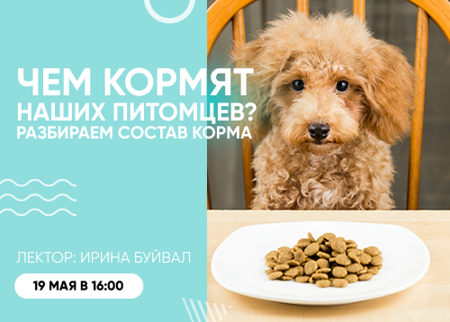 Вебинар «Чем кормят наших питомцев? Разбираем состав корма»