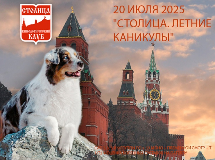 «СТОЛИЦА. ЛЕТНИЕ КАНИКУЛЫ»