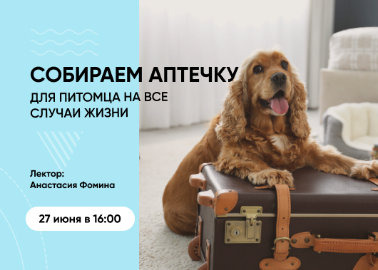 Вебинар «Собираем аптечку для питомца на все случаи жизни»
