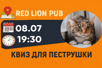 Благотворительный Pet Quiz в пользу кошки Пеструшки