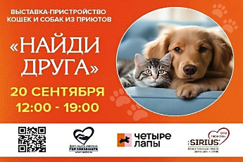 «Найди друга»