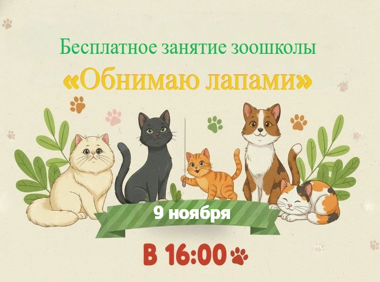 Занятие зоошколы «Обнимаю лапами» 