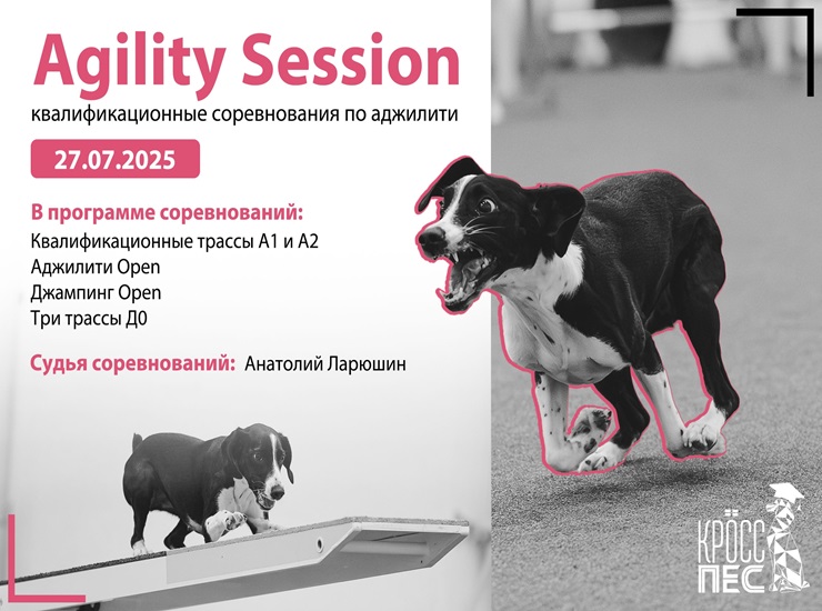 AGILITY SESSION