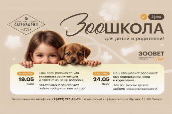 Зоошкола: «Содержание, уход и правильное кормление»