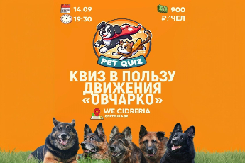 Квиз в пользу волонтерского движения «ОвчарКо»