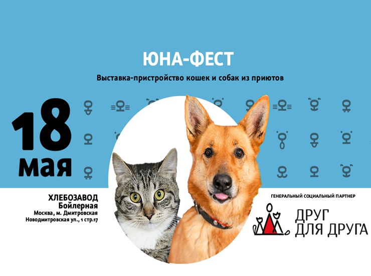 «Юна-Фест»