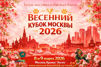 Весенний кубок Москвы 2026