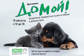 Фестиваль «Домой!»