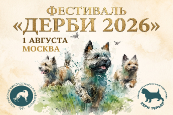 Фестиваль «Дерби 2026»