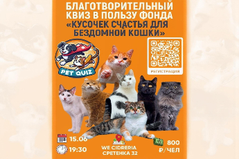 Квиз про кошек от проекта Pet Quiz